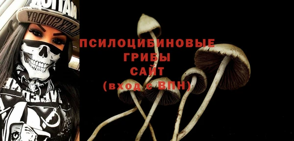 гашик Аркадак