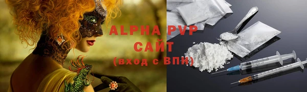 гашик Аркадак