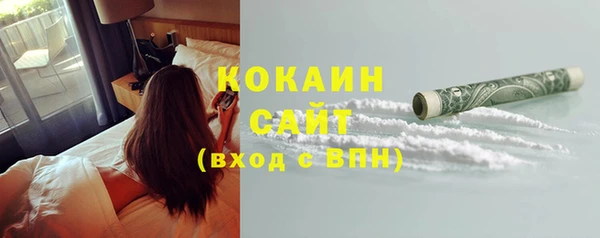 гашик Аркадак