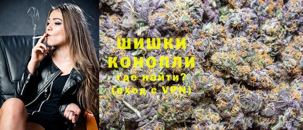 гашик Аркадак