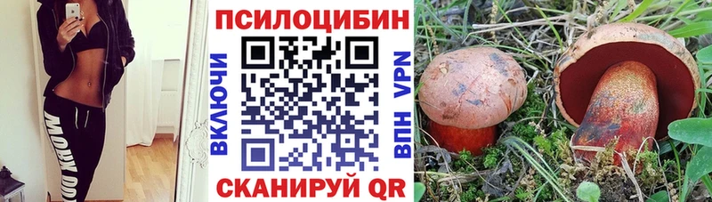 Псилоцибиновые грибы мицелий  Урюпинск 